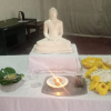 vesak